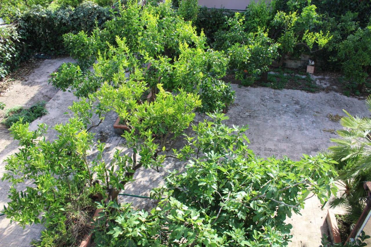 Greenhouse Mascalucia Ngoại thất bức ảnh